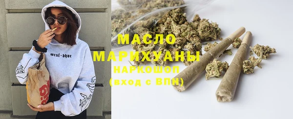 молекула духа Елабуга