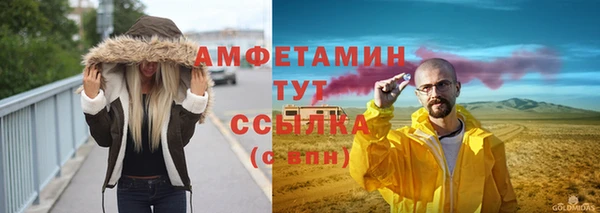 гашик Ленск