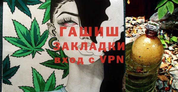молекула духа Елабуга