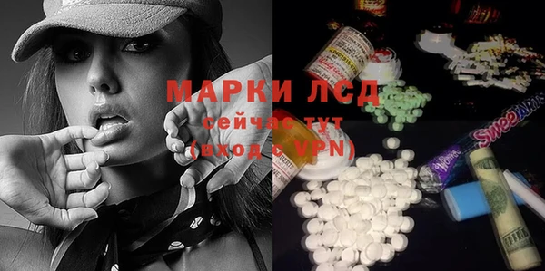 молекула духа Елабуга