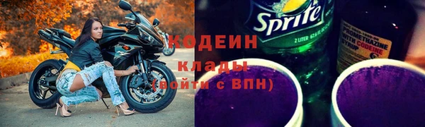 молекула духа Елабуга