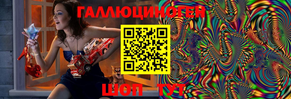 Обь  Галлюциногенные грибы Psilocybine cubensis  Вход с VPN 