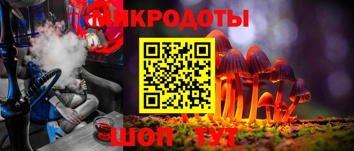 Галлюциногенные грибы Psilocybe Обь